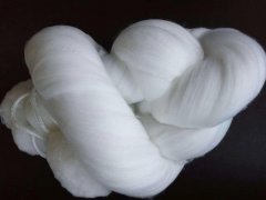 �w�S���V�ϡ�������^�V�ă��x����