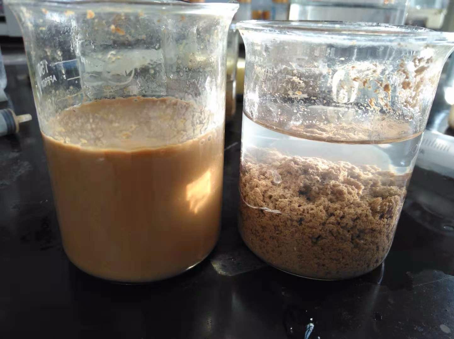 <a href='http://www.zj-wz.cn/jsyj/992.html' target='_blank'><u>���x�Ӿ۱�ϩ�������a�S��</u></a>