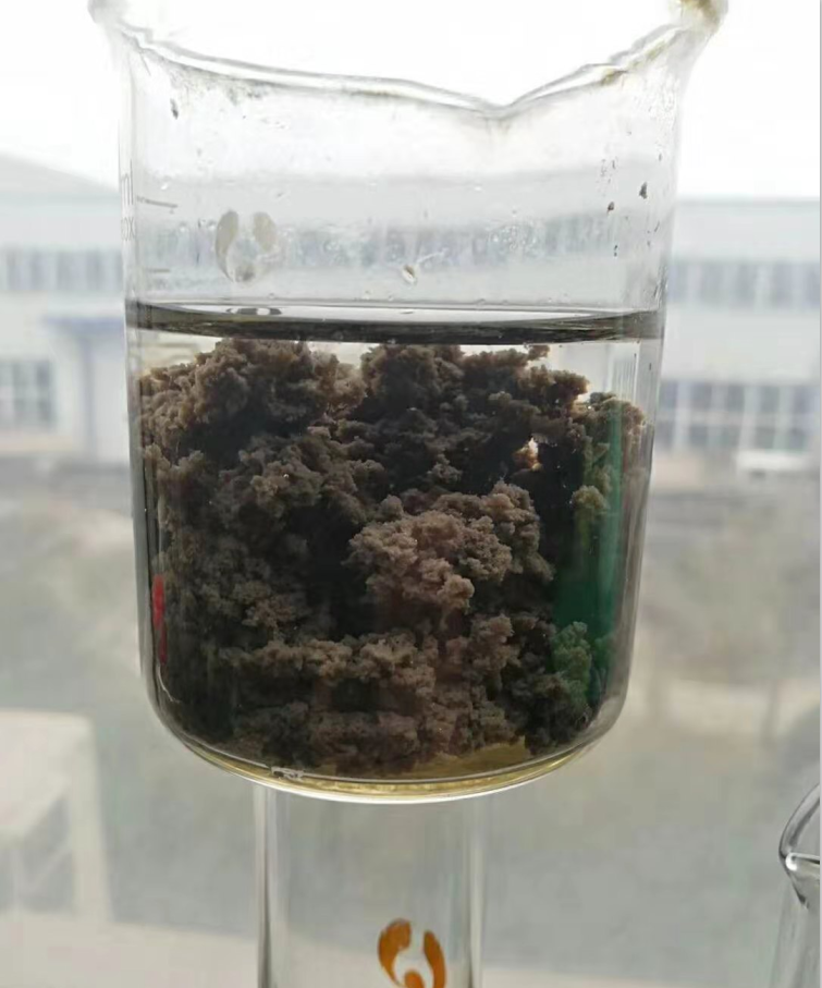 �o�F<a href='http://www.zj-wz.cn/jsyj/54.html' target='_blank'><u>�ۺ������X���a�S��</u></a>