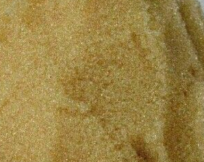 ��֬�V�����a�S�ҹ�������x�Ә�֬�V������x�Ә�֬�V��