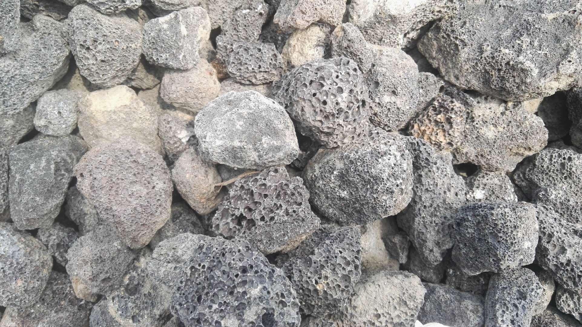 퓎r�����V�����a�S��